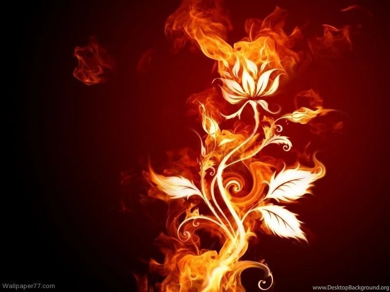 Fire Flower, 800x600 Pixels : Wallpapers Tagged Abstract ...