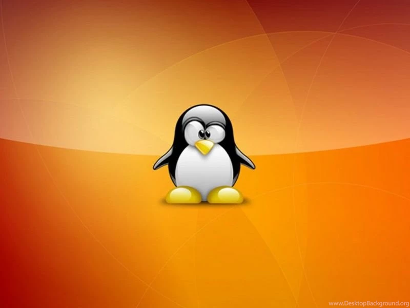 Super_tux_wallpaper_linux 800x600.jpg