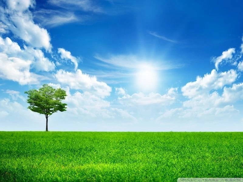Green Nature HD Desktop Wallpapers : Mobile : Dual Monitor