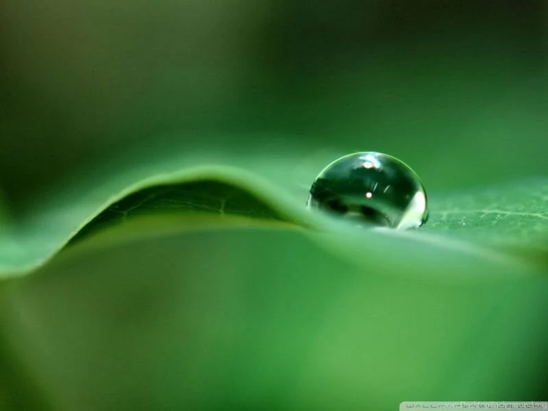 Drop_of_water_2 wallpaper 800x600.jpg