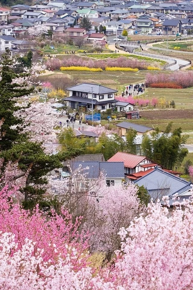 Village Of Spring iPhone 4s Wallpapers Download