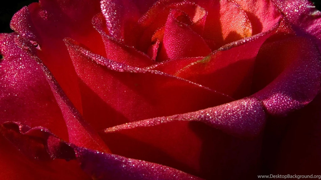 Top Shiny Red Desktop Wallpaper Images For Pinterest