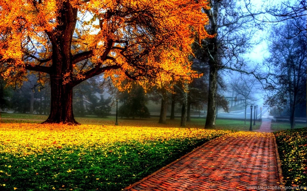 HDR Computer Wallpapers, Desktop Backgrounds