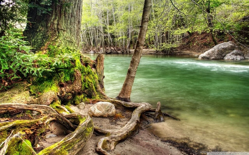 River Shore Hdr Wallpapers