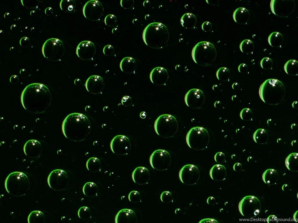 Green And Black – Sportwette Tipps