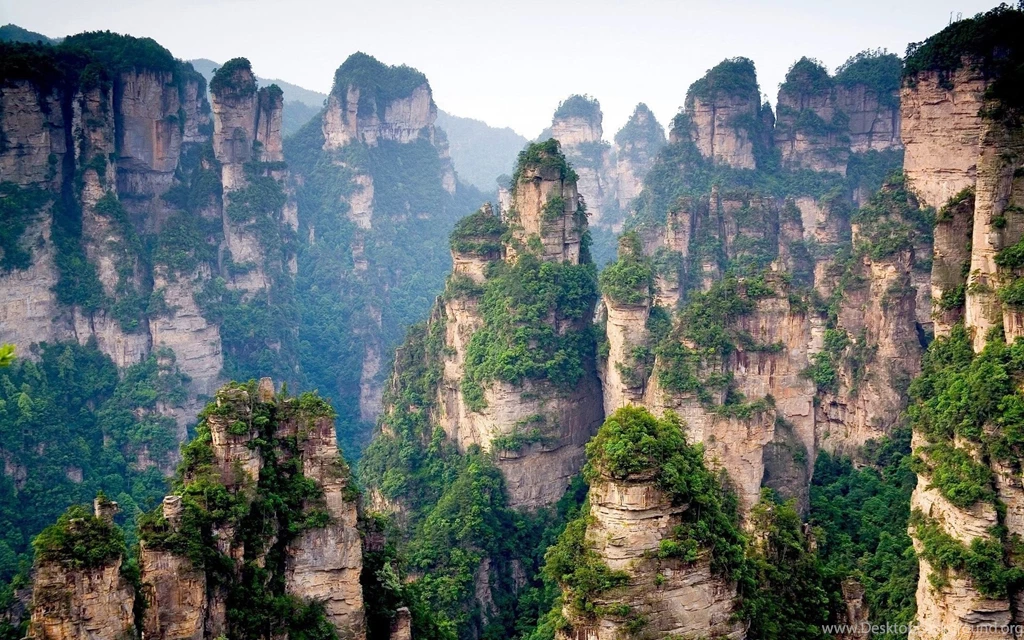 There Are 15 Wallpapers Have Tag "chinese"