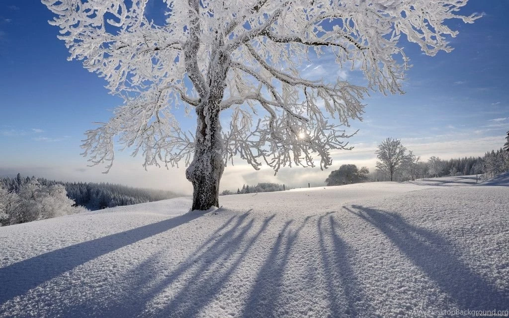 Winter Desktop Wallpapers