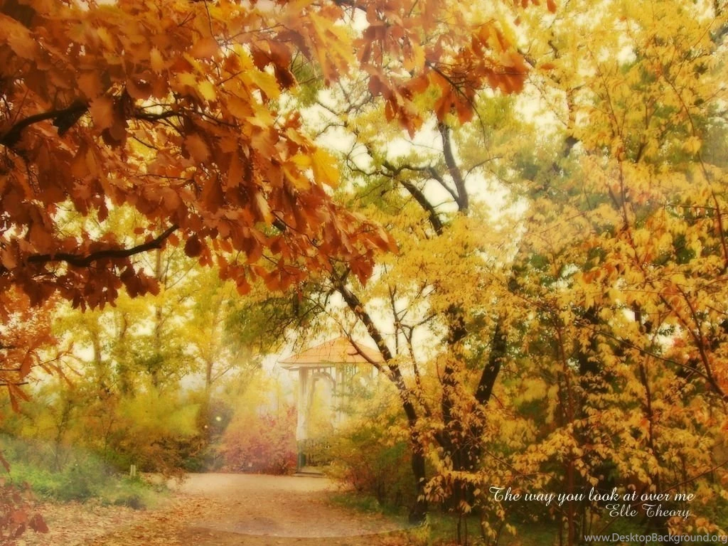 Autumn Masquerade Wallpapers (9444989) Fanpop