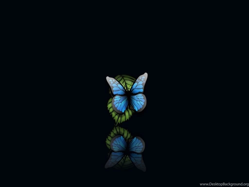 1024x768 Butterfly Desktop PC And Mac Wallpapers