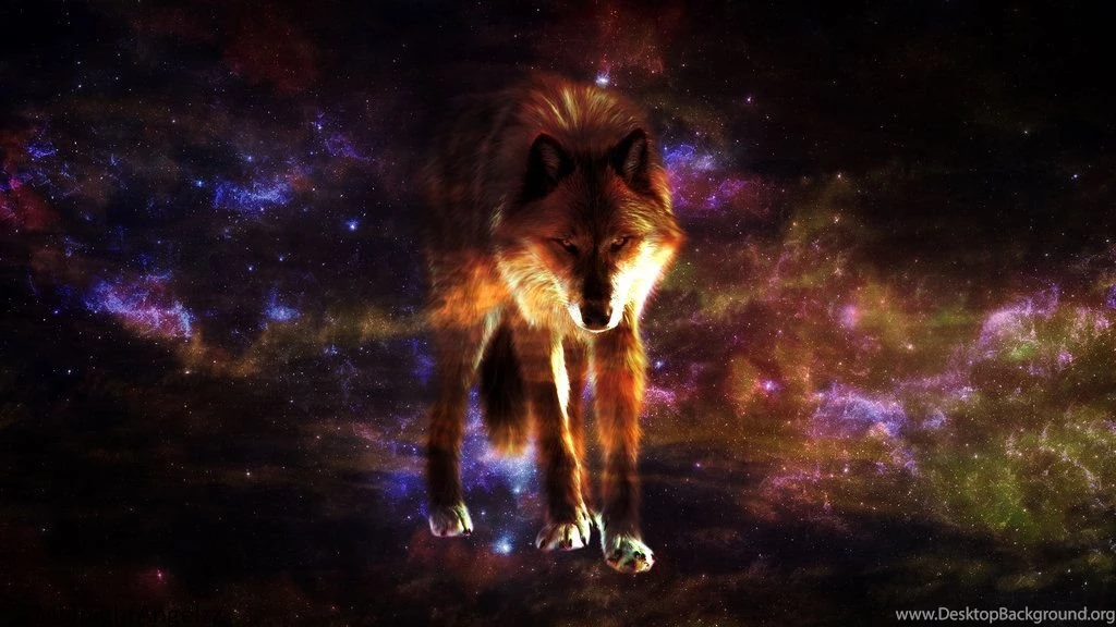 Wolf Wallpapers FREE TO USE By MidnightAngelzz On DeviantArt