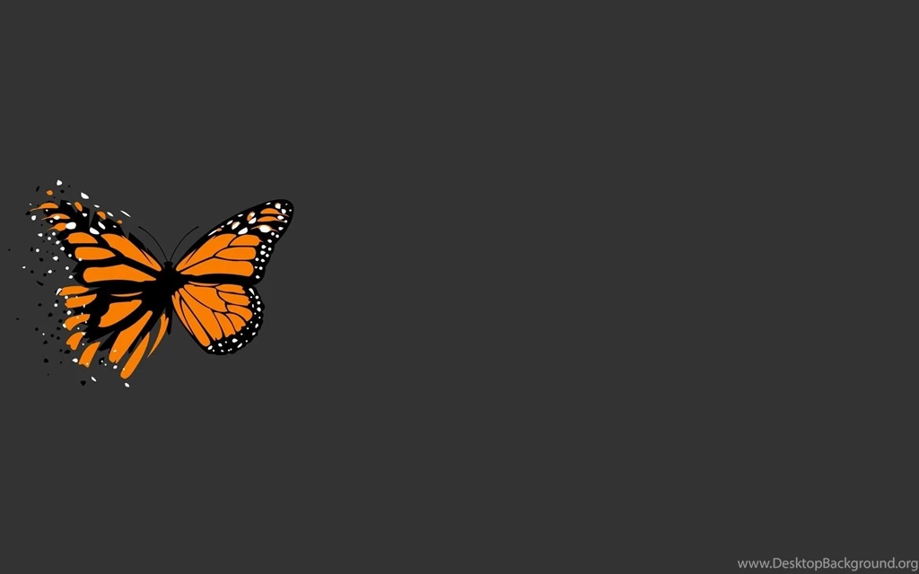 Butterfly Desktop Wallpapers 21883