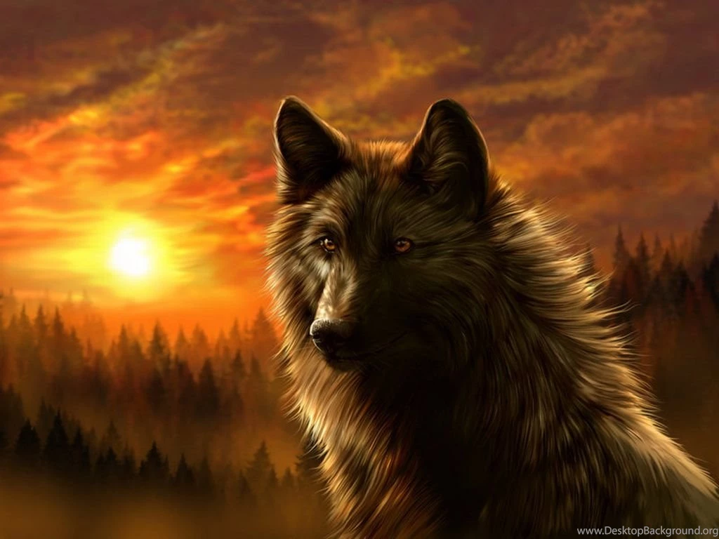 3155) Dark Wolf Beautiful Wallpapers WalOps.com