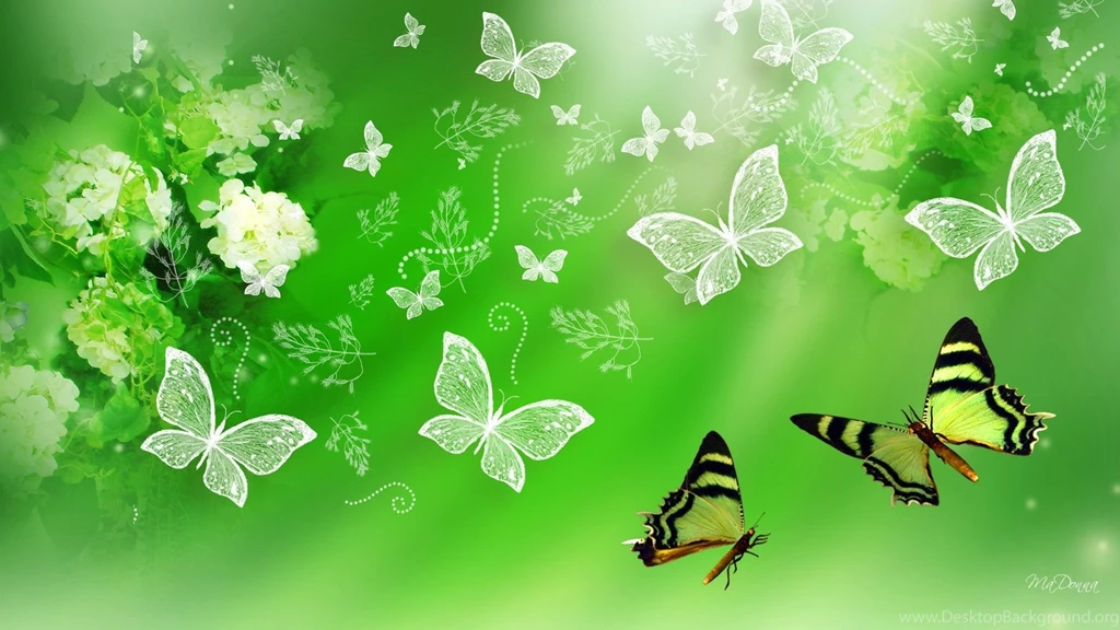 1592) Green Butterfly HD Desktop Wallpapers WalOps.com