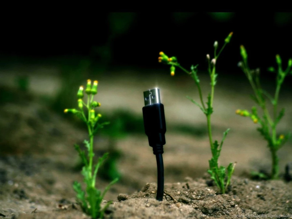 How Science Differs From Technology ?
