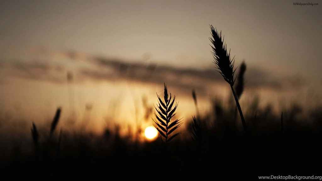 Twitter Backgrounds Wallpapers