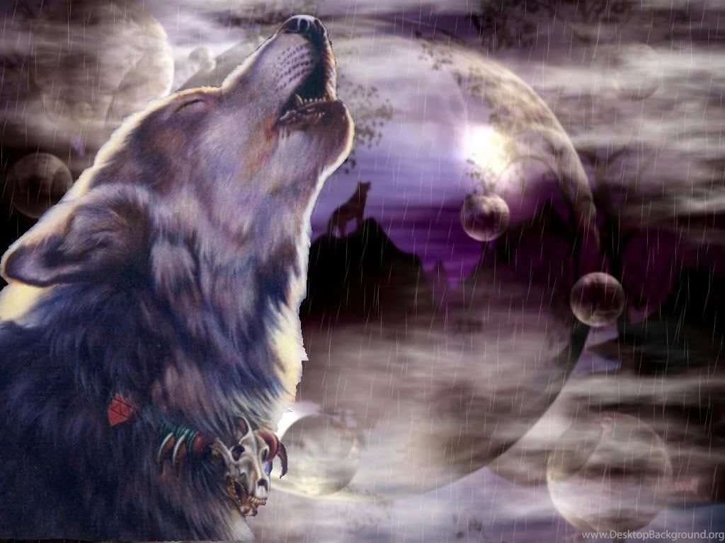 Dodo Wallpapers Download ~ Elrinconcitodemaya
