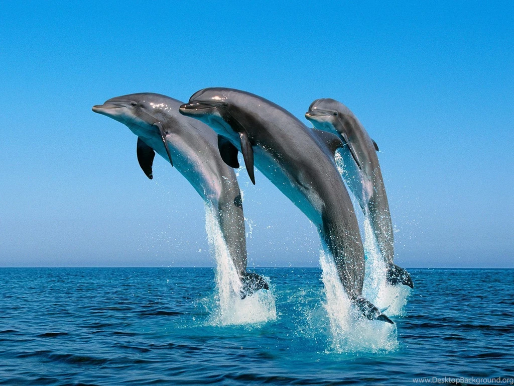 3d+desktop+PC+Wallpaper+2.jpg