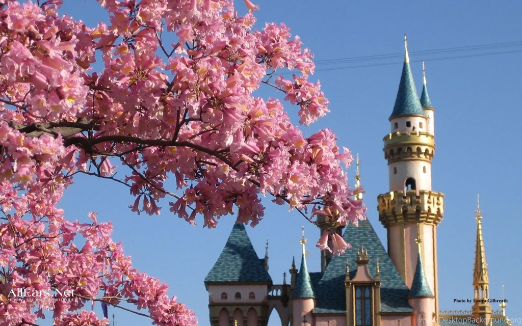 Disneyland wallpaper castle flowers.jpg