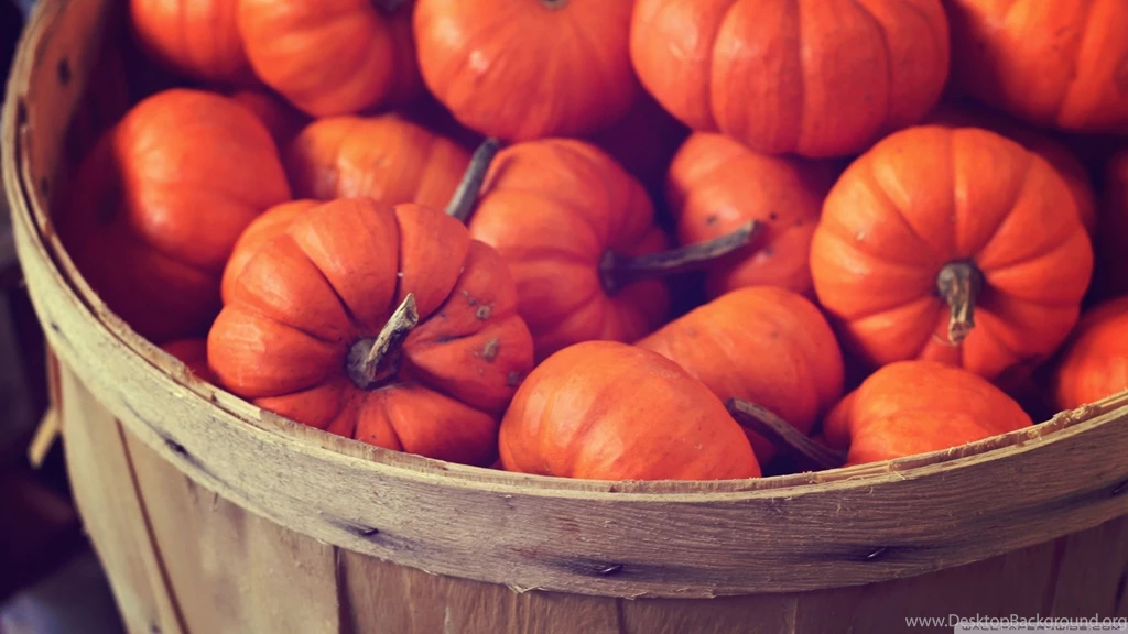 Basket Full Of Pumpkins HD Desktop Wallpapers : High Definition ...