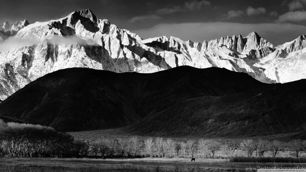 Black And White Winter Landscape HD Desktop Wallpapers : Mobile ...