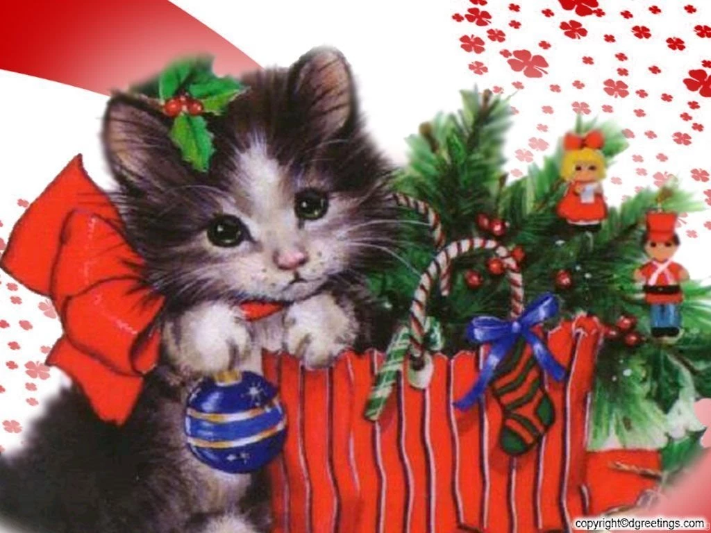 Christmas Kitten Wallpapers