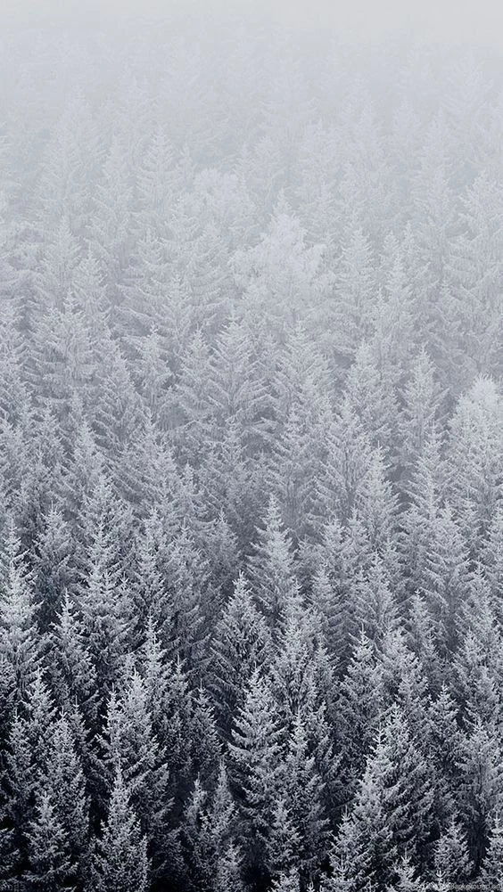 Christmas Wallpapers On Pinterest