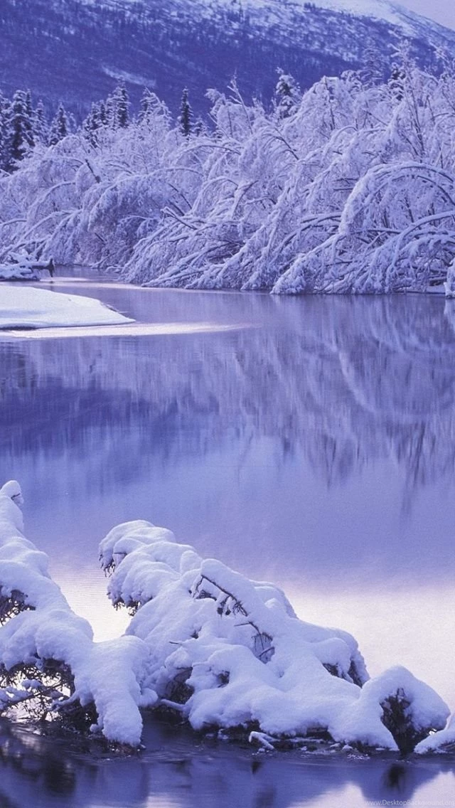 Snow River iPhone 5 Wallpapers