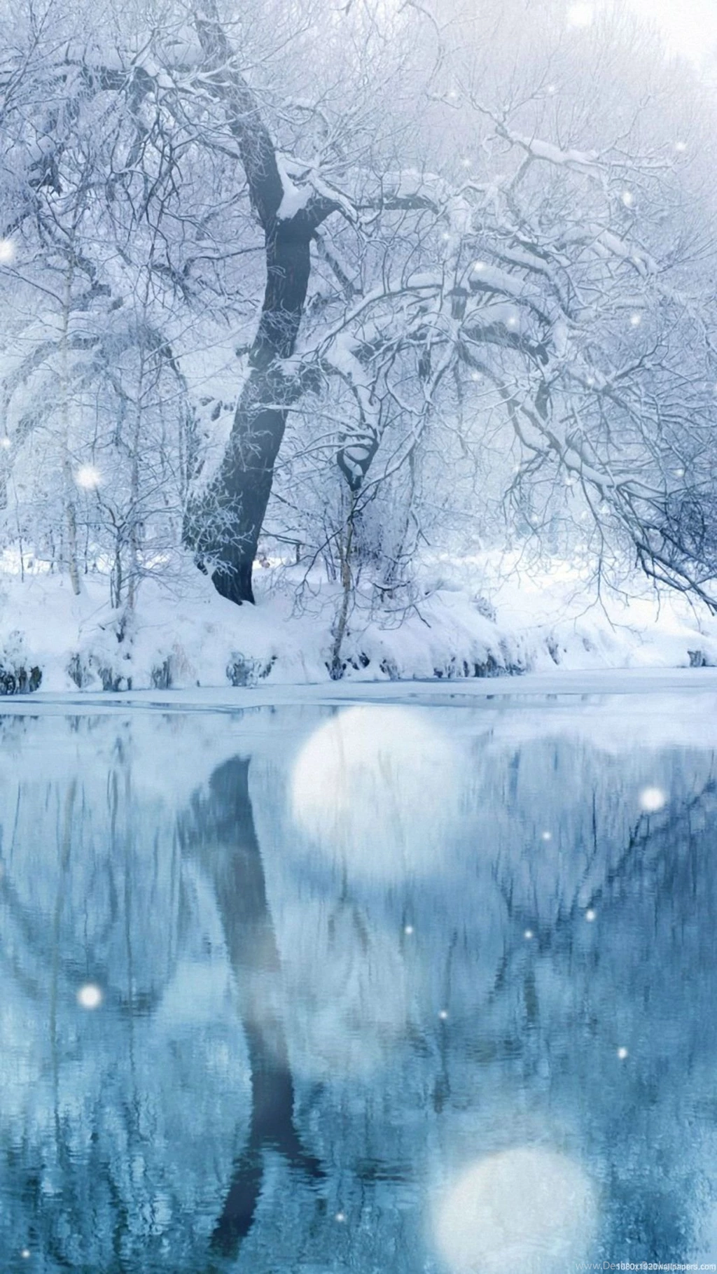1080x1920 Sunshine Tree Winter Water Lake Snow Wallpapers HD