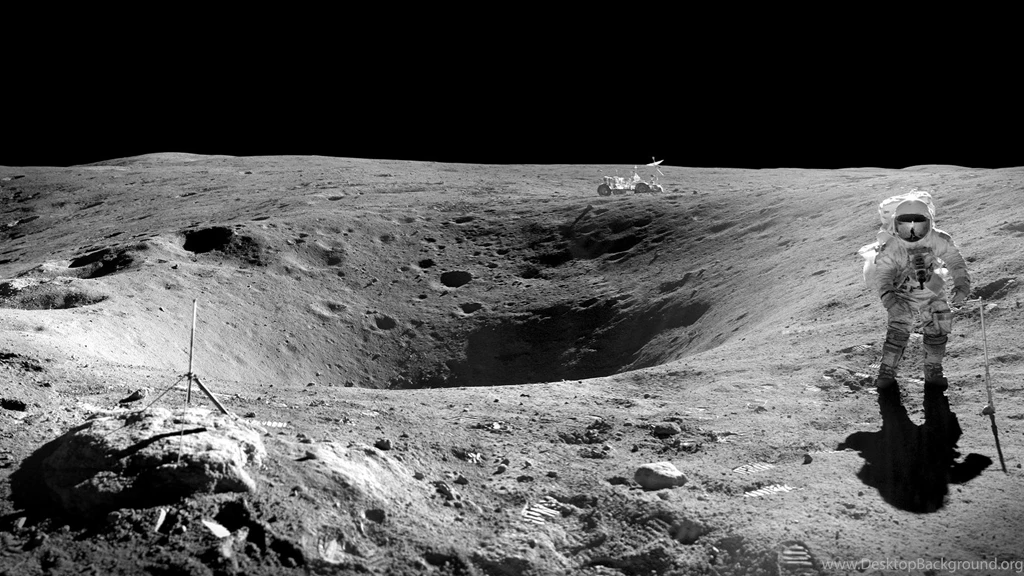 Cloudy Moon Through Trees [1920x1080] [OC] : Wallpapers