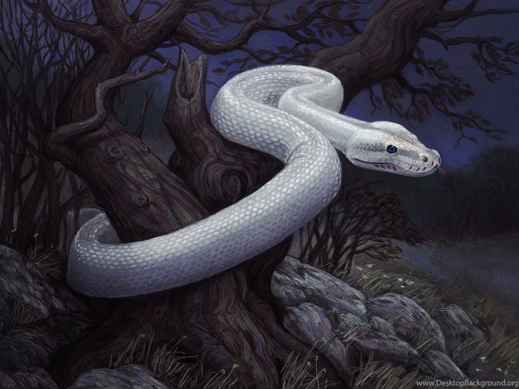 277 Snake HD Wallpapers