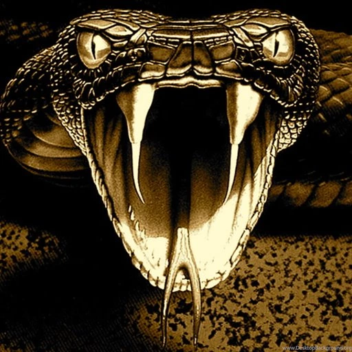 Viper Snakes Wallpapers Free Android Application Createapk.com