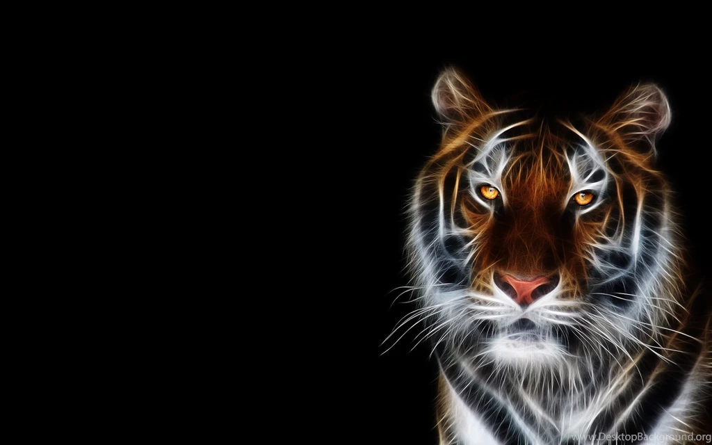 Tigers Fractalius Black Backgrounds Wallpapers