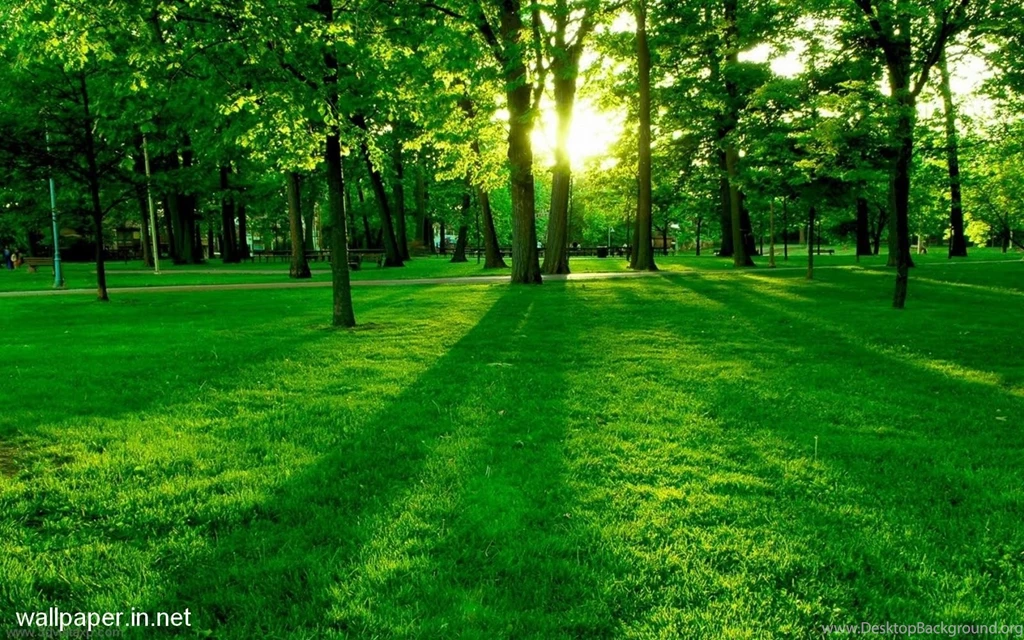 Nature Wallpapers Archives Page 2 Of 11 Free Desktop ...