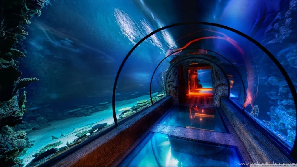 Underwater Passage, Las Vegas HD Desktop Wallpapers : High ...