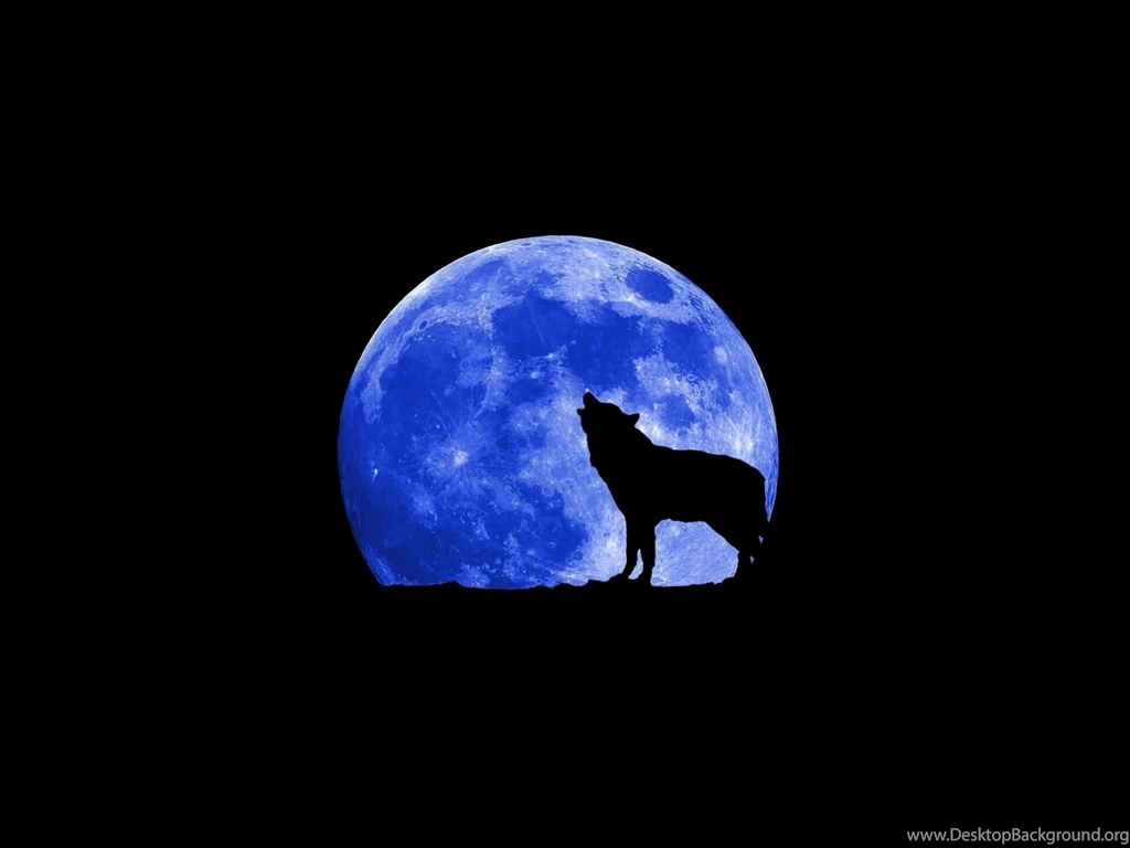 Wolf Wolves Wallpapers (18854237) Fanpop