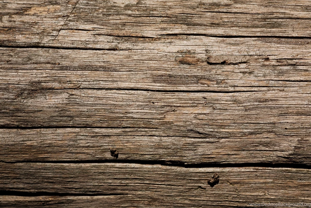 Dry Old Wood Texture
