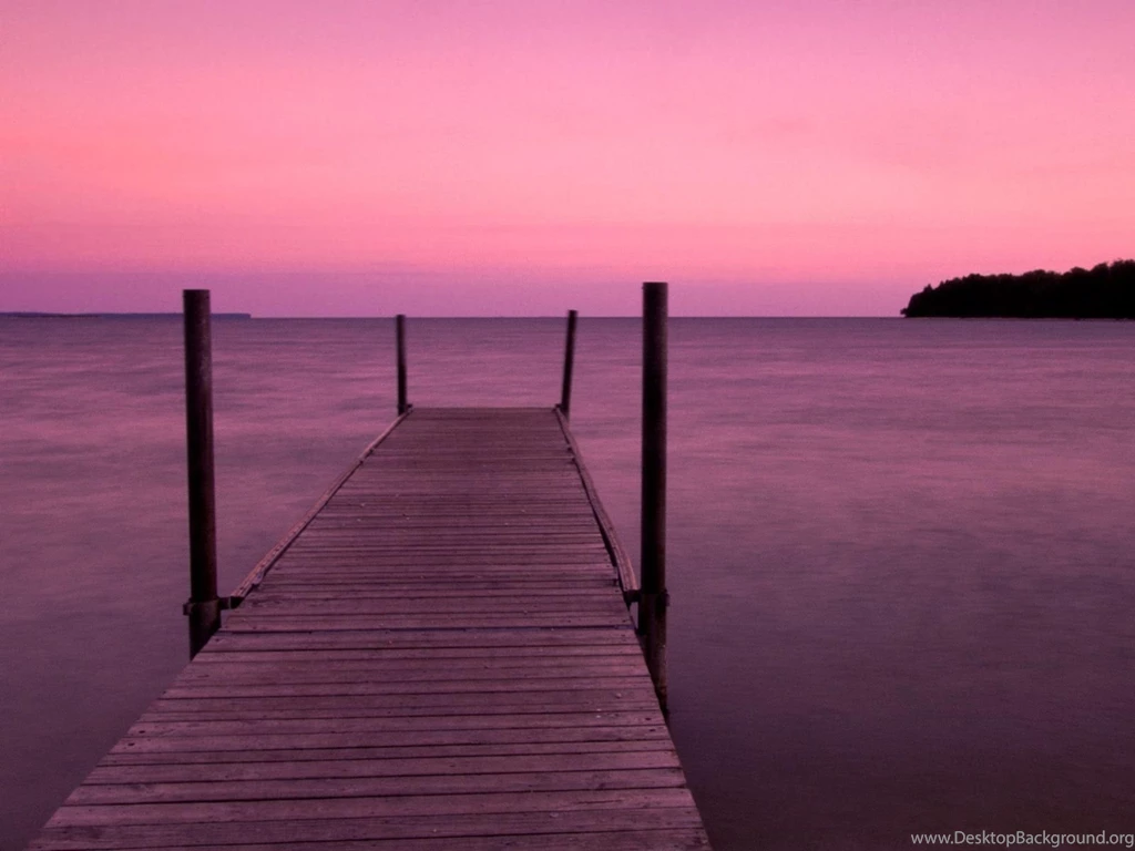 Pink+purple ♡ On Pinterest