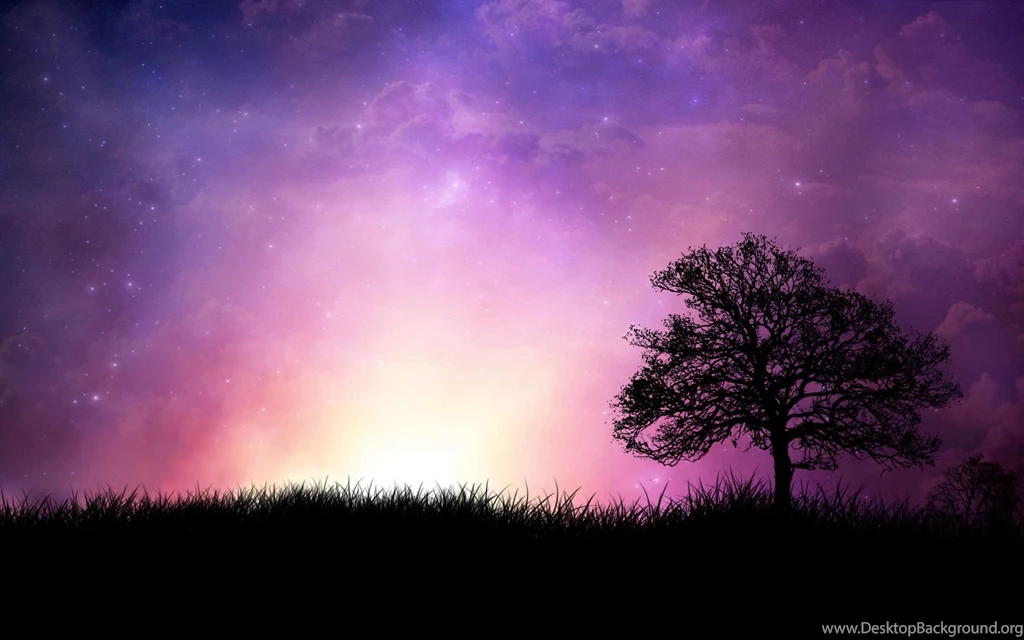 Violet Sunset Wallpapers