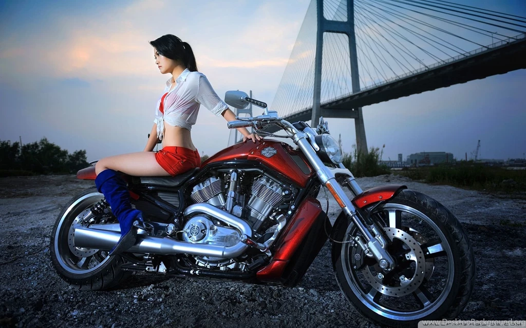 Harley Davidson Bike Wallpapers On PC Desktop