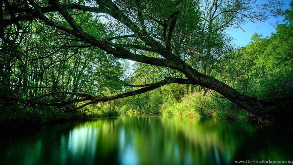 Great World Wallpaper: Desktop Wallpapers And Themes