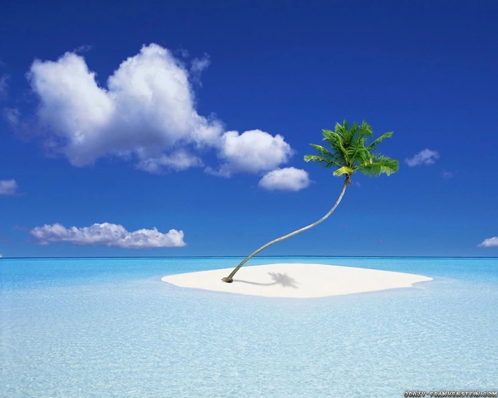 Summer Wallpapers Seasonal Wallpapers Crazy Frankenstein