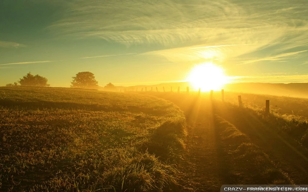 Summer Sun Wallpapers Crazy Frankenstein
