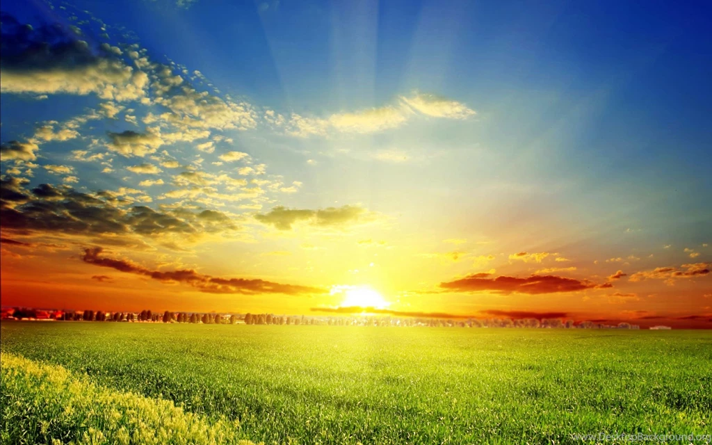 Dream Spring 2012 Spring Sun Wallpapers HD Wallpapers 96656