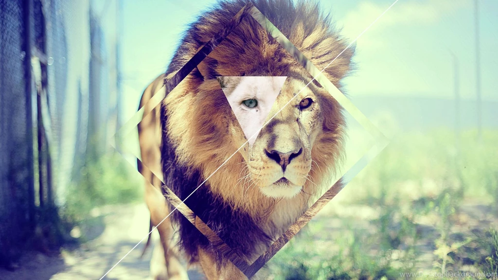 Hipster Wallpapers Concept Lion By Centoste On DeviantArt