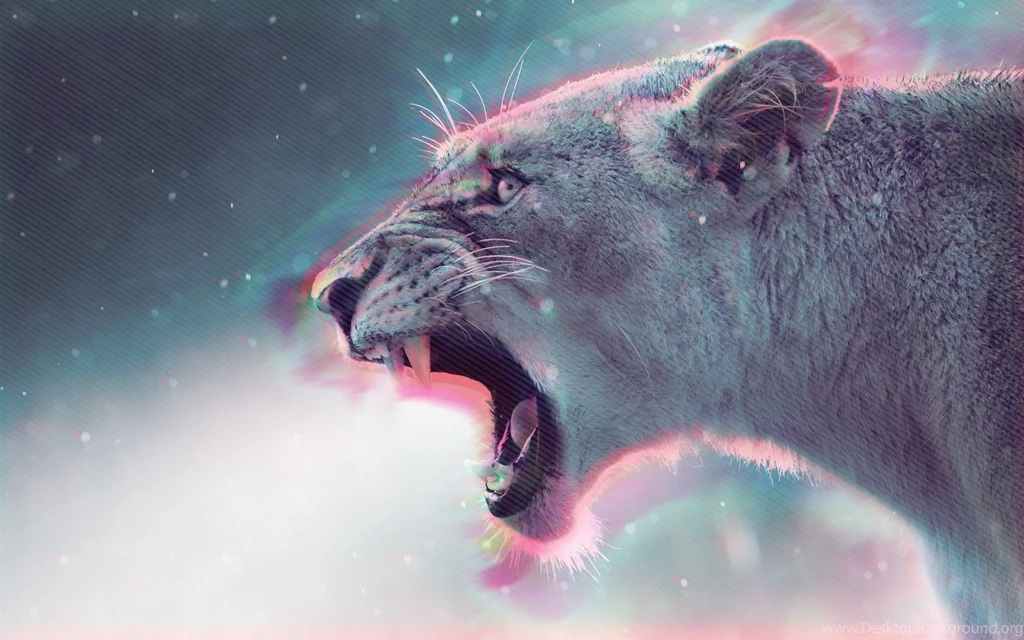 Download Hipster Wallpapers Db6