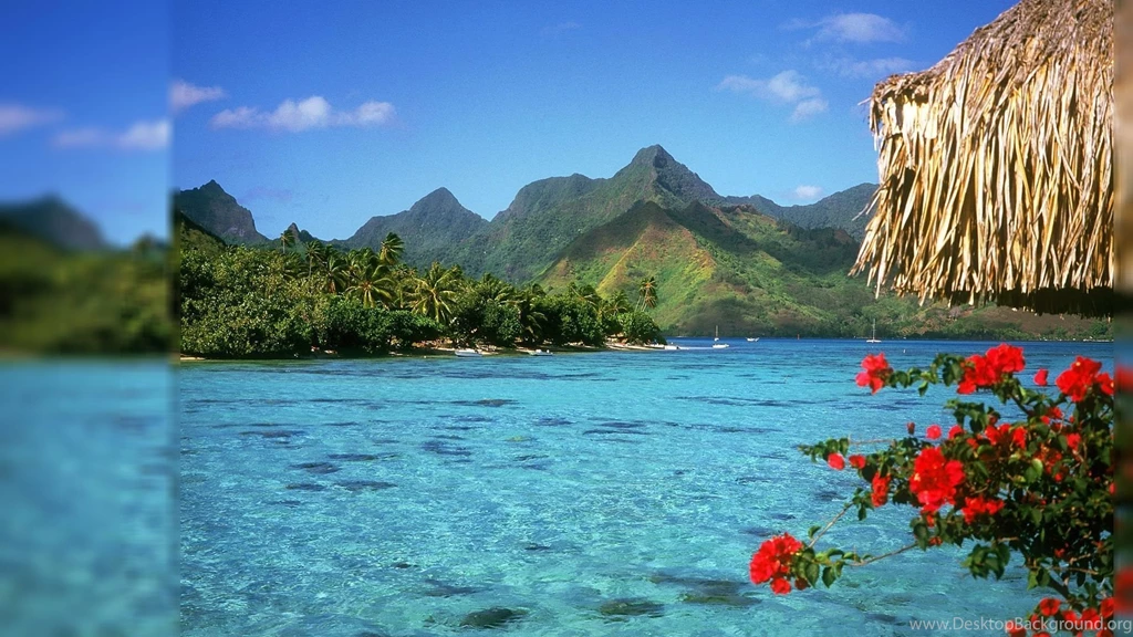 Free Desktop Backgrounds 19 Best Wallpapers Collection