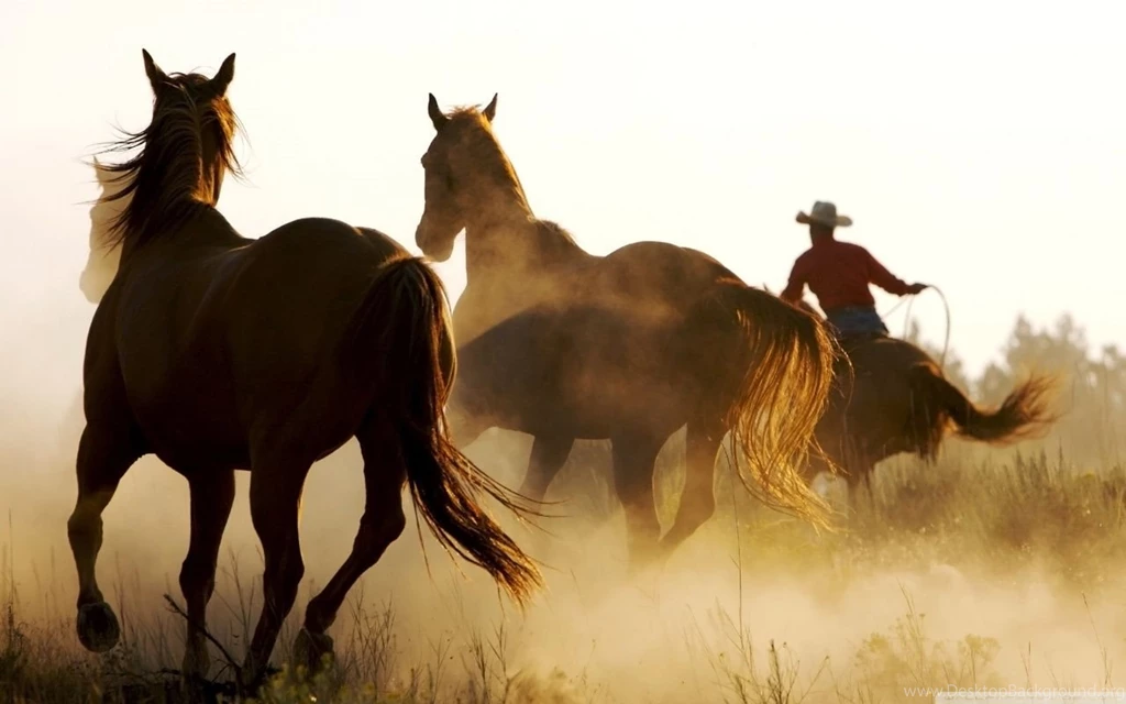 Marlboro Country HD Desktop Wallpapers : High Definition : Mobile