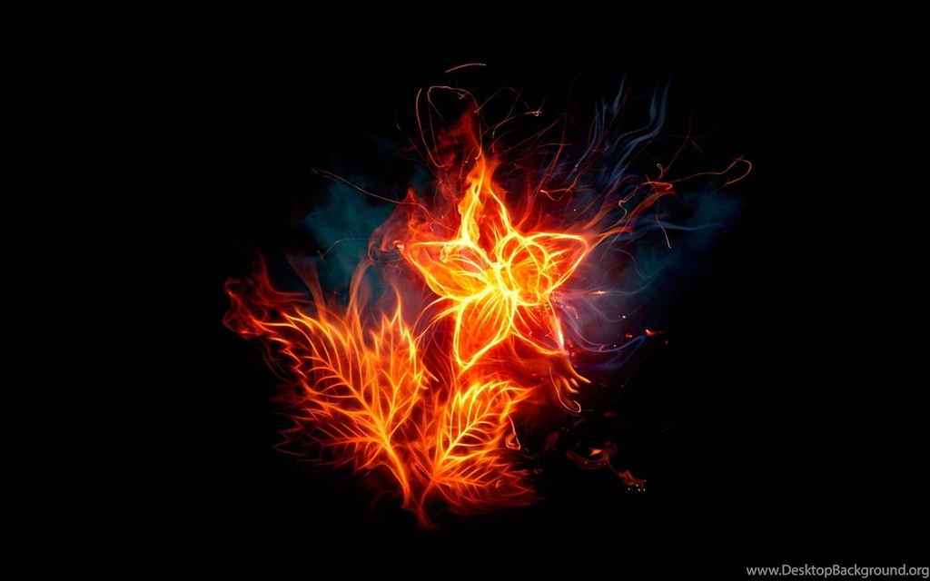 Abstract Black Backgrounds Fire Flower Flaming Wallpapers ...