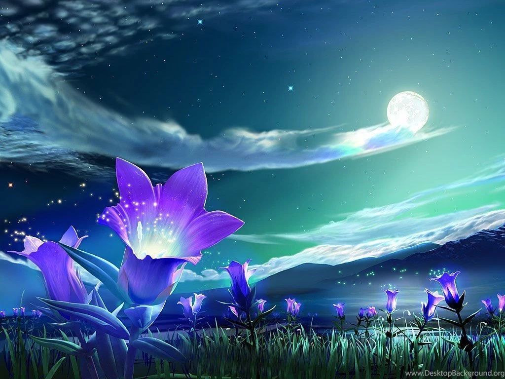 Pretty Flower Wallpapers Random Photo (36251370) Fanpop