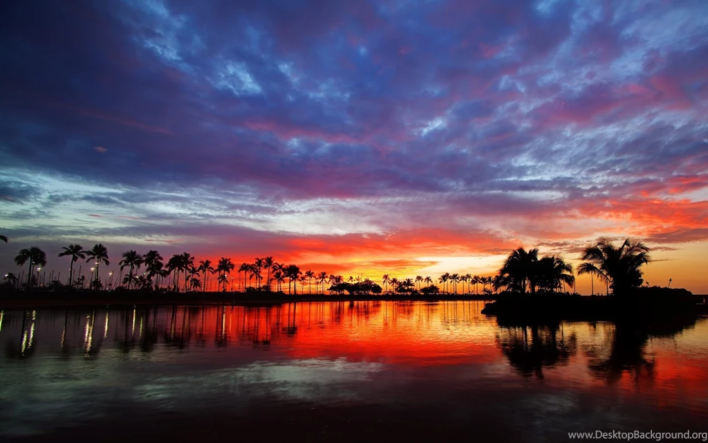 Hawaiian HD Wallpaper, Hawaiian Images Free, New Wallpapers